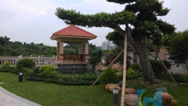 施工現(xiàn)場